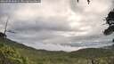 ./images/calvert/fitz-hugh-hecate/20260708/fitz-hugh-hecate20260708_083001M.jpg