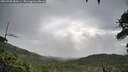 ./images/calvert/fitz-hugh-hecate/20260708/fitz-hugh-hecate20260708_085001M.jpg