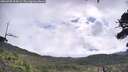 ./images/calvert/fitz-hugh-hecate/20260708/fitz-hugh-hecate20260708_094501M.jpg