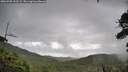 ./images/calvert/fitz-hugh-hecate/20260708/fitz-hugh-hecate20260708_102501M.jpg