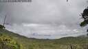 ./images/calvert/fitz-hugh-hecate/20260708/fitz-hugh-hecate20260708_105501M.jpg
