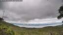 ./images/calvert/fitz-hugh-hecate/20260708/fitz-hugh-hecate20260708_121501M.jpg