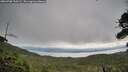 ./images/calvert/fitz-hugh-hecate/20260708/fitz-hugh-hecate20260708_130502M.jpg