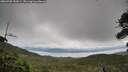 ./images/calvert/fitz-hugh-hecate/20260708/fitz-hugh-hecate20260708_133001M.jpg