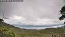 ./images/calvert/fitz-hugh-hecate/20260708/fitz-hugh-hecate20260708_140001M.jpg