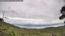 ./images/calvert/fitz-hugh-hecate/20260708/fitz-hugh-hecate20260708_140501M.jpg