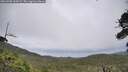 ./images/calvert/fitz-hugh-hecate/20260708/fitz-hugh-hecate20260708_145001M.jpg