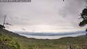 ./images/calvert/fitz-hugh-hecate/20260708/fitz-hugh-hecate20260708_155001M.jpg