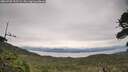 ./images/calvert/fitz-hugh-hecate/20260708/fitz-hugh-hecate20260708_155501M.jpg