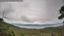 ./images/calvert/fitz-hugh-hecate/20260708/fitz-hugh-hecate20260708_161002M.jpg