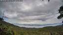 ./images/calvert/fitz-hugh-hecate/20260708/fitz-hugh-hecate20260708_203501M.jpg
