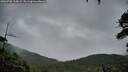 ./images/calvert/fitz-hugh-hecate/20260708/fitz-hugh-hecate20260708_215002M.jpg