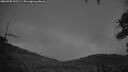 ./images/calvert/fitz-hugh-hecate/20260708/fitz-hugh-hecate20260708_222501M.jpg