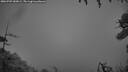 ./images/calvert/fitz-hugh-hecate/20260709/fitz-hugh-hecate20260709_050001M.jpg