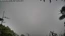 ./images/calvert/fitz-hugh-hecate/20260709/fitz-hugh-hecate20260709_075001M.jpg