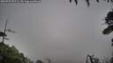 ./images/calvert/fitz-hugh-hecate/20260709/fitz-hugh-hecate20260709_092502M.jpg