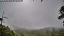 ./images/calvert/fitz-hugh-hecate/20260709/fitz-hugh-hecate20260709_114501M.jpg