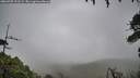 ./images/calvert/fitz-hugh-hecate/20260709/fitz-hugh-hecate20260709_121502M.jpg