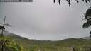 ./images/calvert/fitz-hugh-hecate/20260709/fitz-hugh-hecate20260709_131502M.jpg