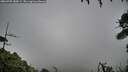 ./images/calvert/fitz-hugh-hecate/20260709/fitz-hugh-hecate20260709_180001M.jpg