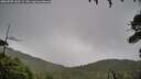 ./images/calvert/fitz-hugh-hecate/20260709/fitz-hugh-hecate20260709_181501M.jpg