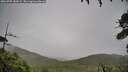 ./images/calvert/fitz-hugh-hecate/20260709/fitz-hugh-hecate20260709_182002M.jpg