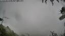 ./images/calvert/fitz-hugh-hecate/20260709/fitz-hugh-hecate20260709_192001M.jpg