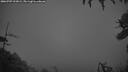 ./images/calvert/fitz-hugh-hecate/20260709/fitz-hugh-hecate20260709_223001M.jpg