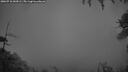 ./images/calvert/fitz-hugh-hecate/20260710/fitz-hugh-hecate20260710_044501M.jpg