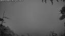 ./images/calvert/fitz-hugh-hecate/20260710/fitz-hugh-hecate20260710_045002M.jpg