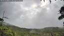 ./images/calvert/fitz-hugh-hecate/20260710/fitz-hugh-hecate20260710_085001M.jpg