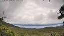 ./images/calvert/fitz-hugh-hecate/20260710/fitz-hugh-hecate20260710_110002M.jpg