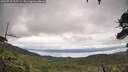./images/calvert/fitz-hugh-hecate/20260710/fitz-hugh-hecate20260710_125501M.jpg