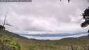 ./images/calvert/fitz-hugh-hecate/20260710/fitz-hugh-hecate20260710_133501M.jpg