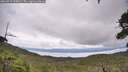 ./images/calvert/fitz-hugh-hecate/20260710/fitz-hugh-hecate20260710_135001M.jpg