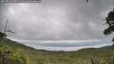 ./images/calvert/fitz-hugh-hecate/20260710/fitz-hugh-hecate20260710_145501M.jpg