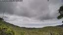 ./images/calvert/fitz-hugh-hecate/20260710/fitz-hugh-hecate20260710_151002M.jpg