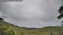 ./images/calvert/fitz-hugh-hecate/20260710/fitz-hugh-hecate20260710_153501M.jpg