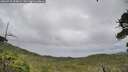 ./images/calvert/fitz-hugh-hecate/20260710/fitz-hugh-hecate20260710_154001M.jpg