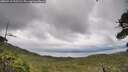 ./images/calvert/fitz-hugh-hecate/20260710/fitz-hugh-hecate20260710_155502M.jpg