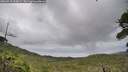 ./images/calvert/fitz-hugh-hecate/20260710/fitz-hugh-hecate20260710_163001M.jpg