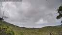 ./images/calvert/fitz-hugh-hecate/20260710/fitz-hugh-hecate20260710_163501M.jpg