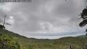 ./images/calvert/fitz-hugh-hecate/20260710/fitz-hugh-hecate20260710_164001M.jpg