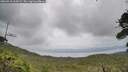 ./images/calvert/fitz-hugh-hecate/20260710/fitz-hugh-hecate20260710_164501M.jpg