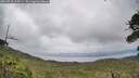 ./images/calvert/fitz-hugh-hecate/20260710/fitz-hugh-hecate20260710_165001M.jpg
