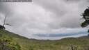 ./images/calvert/fitz-hugh-hecate/20260710/fitz-hugh-hecate20260710_170002M.jpg