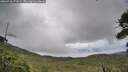 ./images/calvert/fitz-hugh-hecate/20260710/fitz-hugh-hecate20260710_171001M.jpg