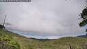 ./images/calvert/fitz-hugh-hecate/20260710/fitz-hugh-hecate20260710_172502M.jpg