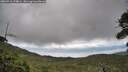 ./images/calvert/fitz-hugh-hecate/20260710/fitz-hugh-hecate20260710_174001M.jpg