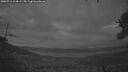 ./images/calvert/fitz-hugh-hecate/20260710/fitz-hugh-hecate20260710_224001M.jpg